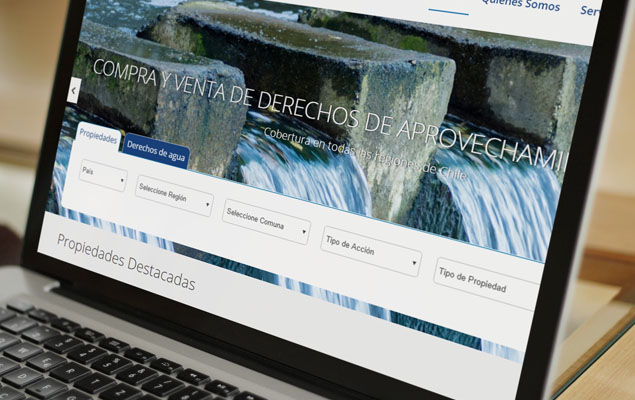 Sitio Web Actiagro