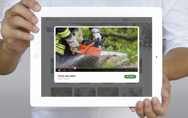 Diseño intranet Espíritu Arauco