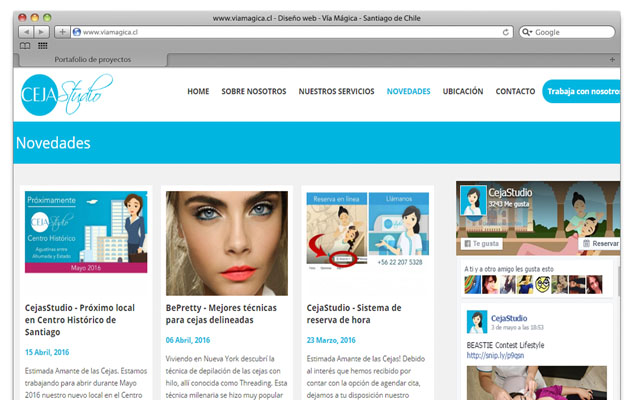 Sitio Web Ceja Studio
