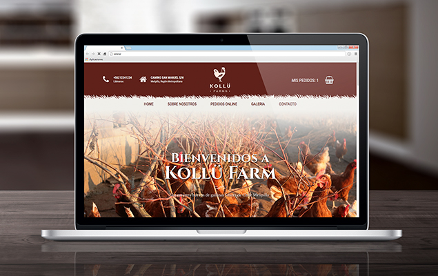 Sitio web Kollü