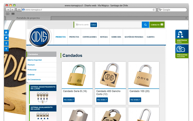 Diseño Pagina web Odis