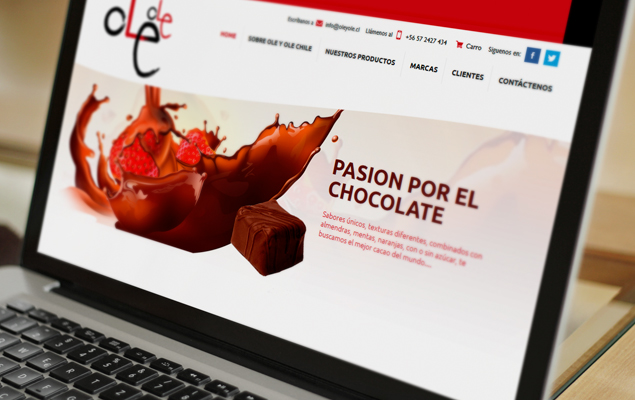 Diseño Web Comercial Ole Ole