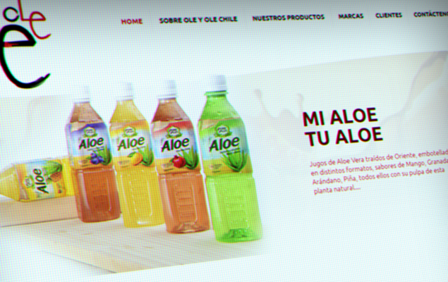 Diseño Web Comercial Ole Ole