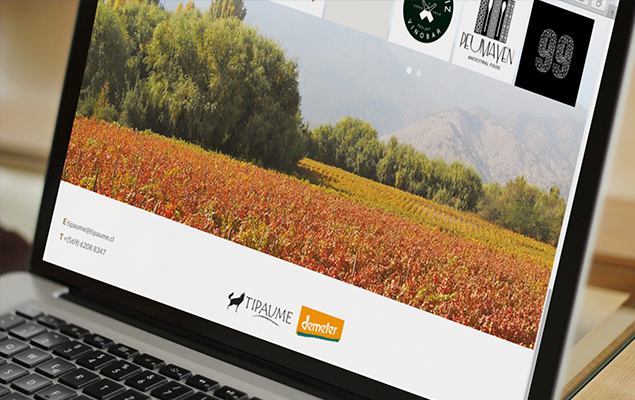 Sitio web Tipaume