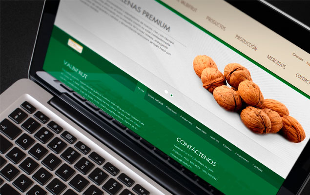 Diseño Web valbifrut.cl rediseño web
